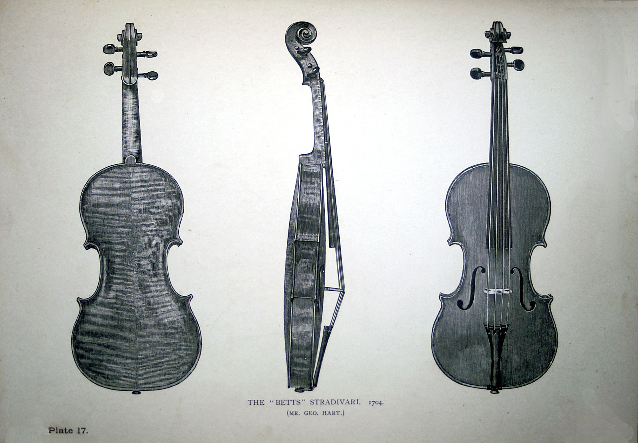 Betts Strad